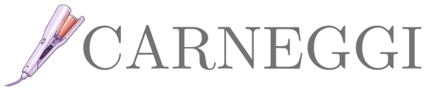 Carneggi