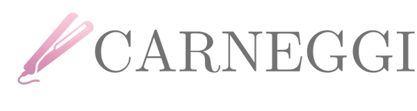 Carneggi